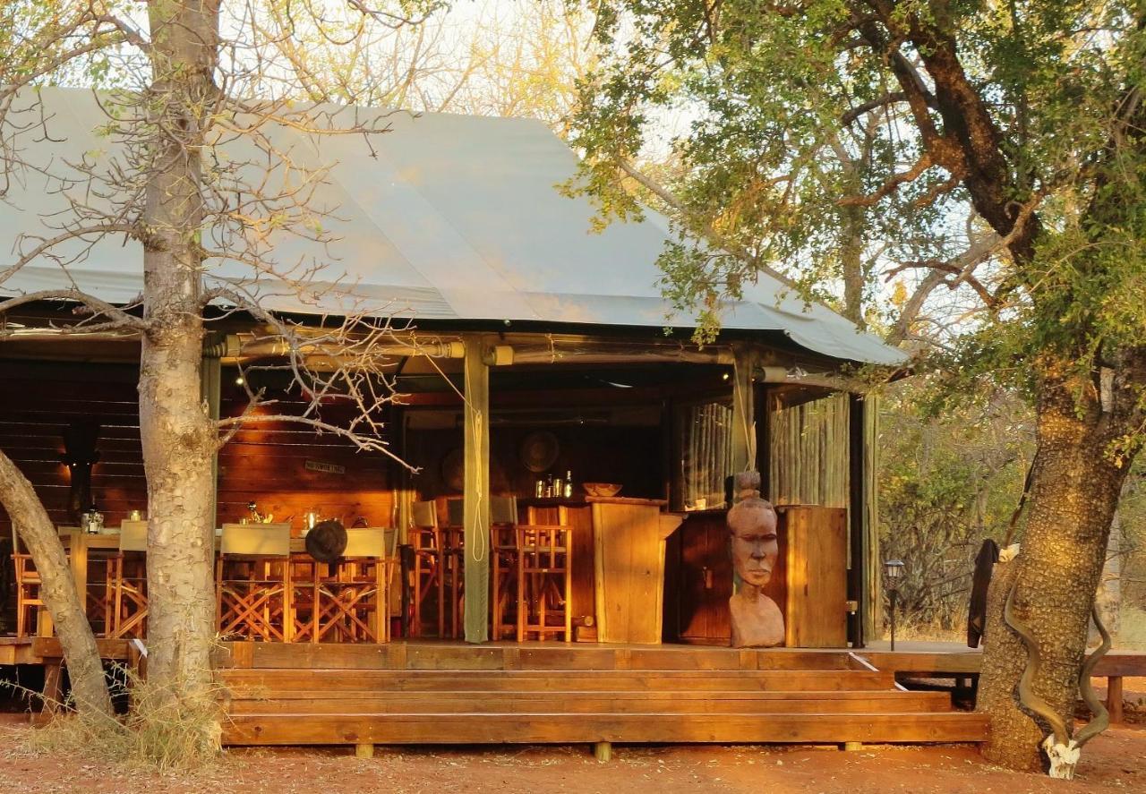 Iphofolo Lodge & Tented Camp Vivo Ngoại thất bức ảnh