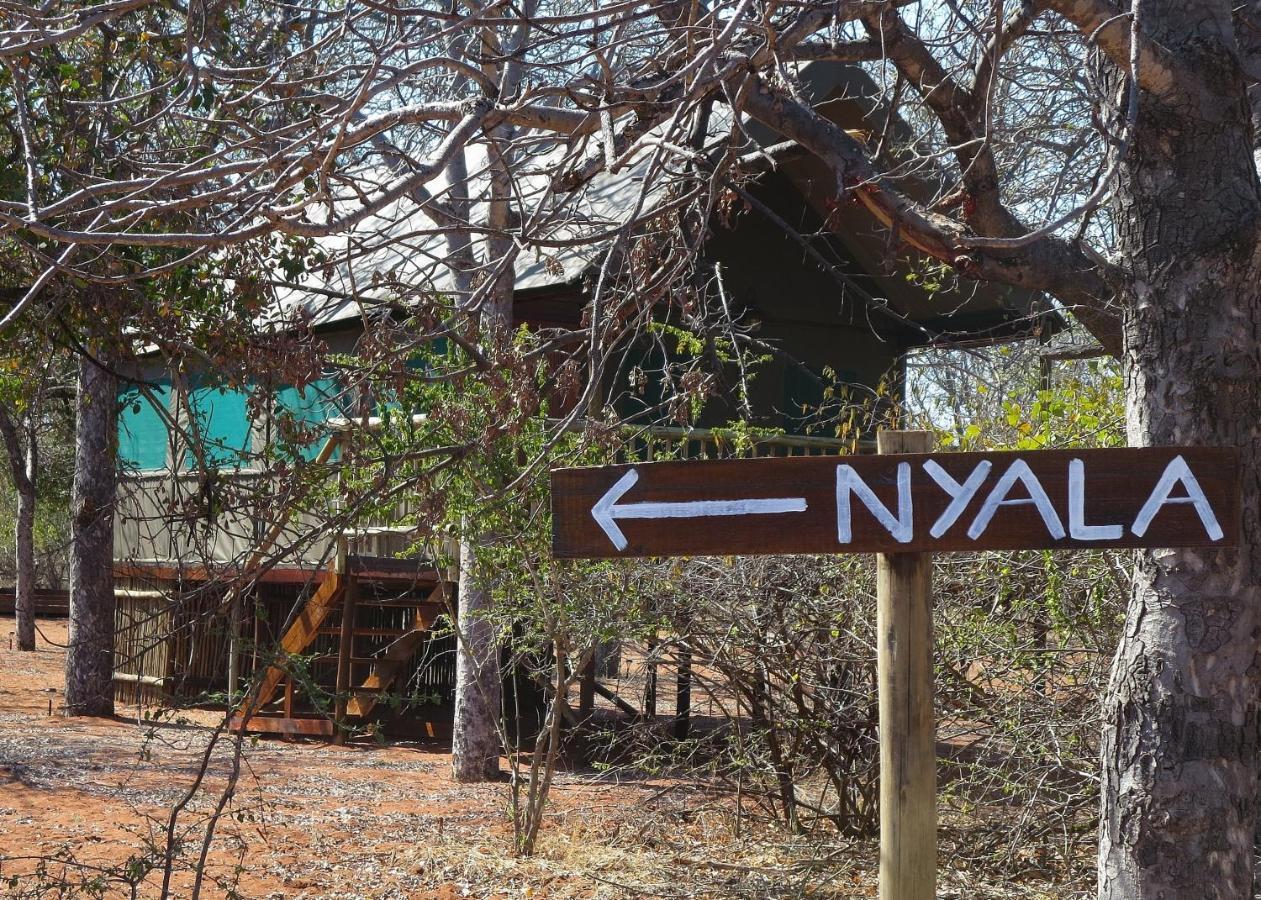 Iphofolo Lodge & Tented Camp Vivo Ngoại thất bức ảnh