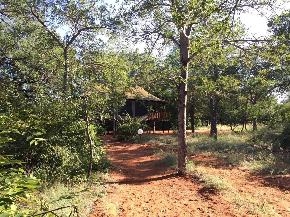 Iphofolo Lodge & Tented Camp Vivo Ngoại thất bức ảnh