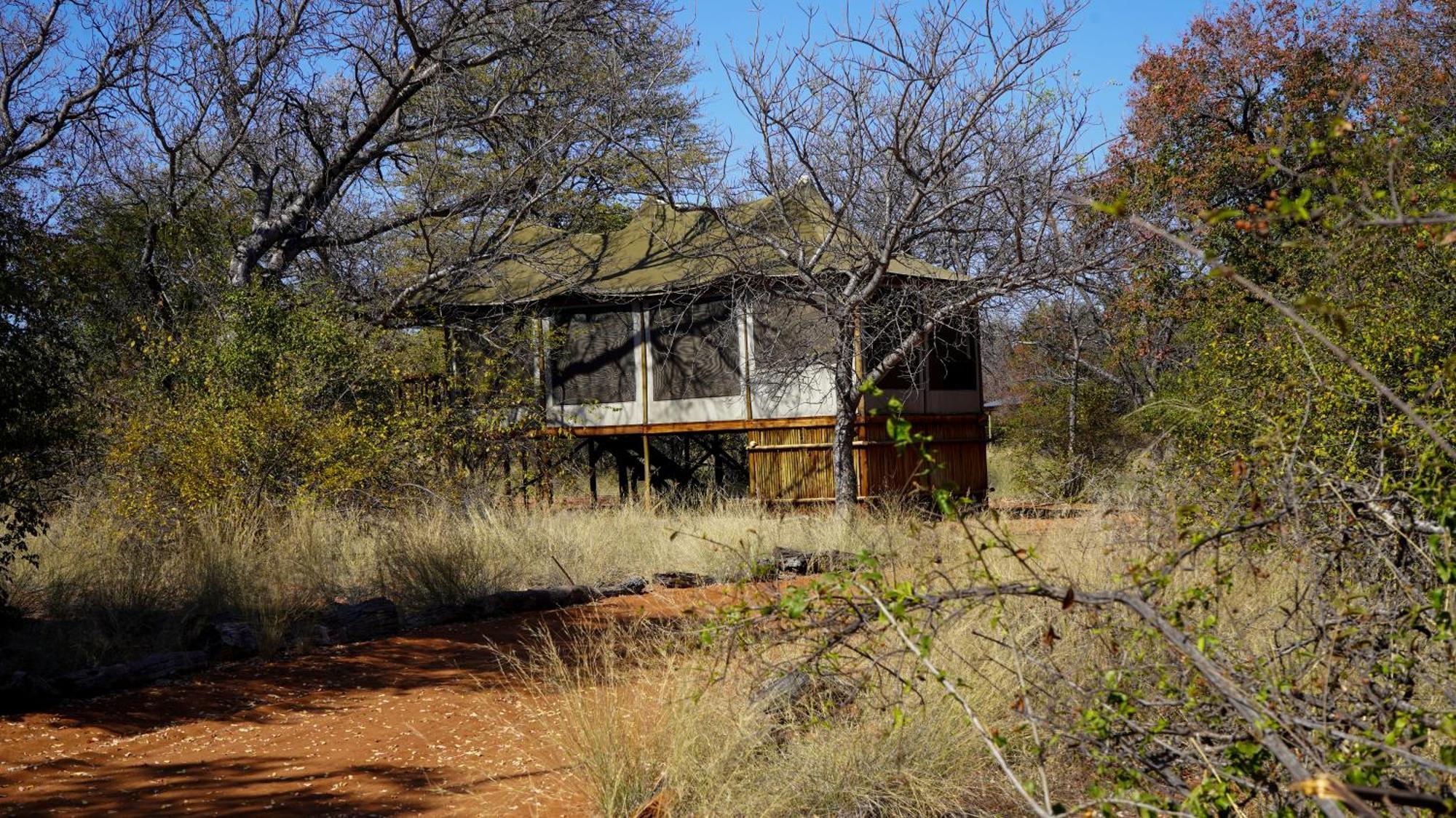 Iphofolo Lodge & Tented Camp Vivo Ngoại thất bức ảnh